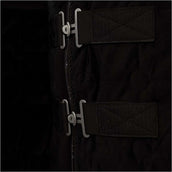 BR Showdecke CLX Meteorite BR Showdecke CLX Meteorite