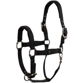 BR Halfter CLX Meteorite BR Halfter CLX Meteorite