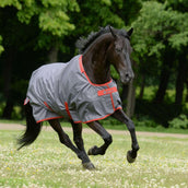 Bucas Irish Turnout 150g Grau/Rot Bucas Irish Turnout 150g Grau/Rot