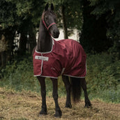 Bucas Atlantic Medium Exclusive Wine Bucas Atlantic Medium Exclusive Wine