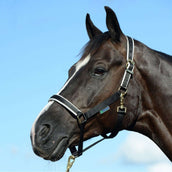 Bucas Halfter Dublin Foal Black/Silver Bucas Halfter Dublin Foal Black/Silver