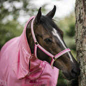 Bucas Halfter Dublin Fohlen Aurora Pink Bucas Halfter Dublin Fohlen Aurora Pink