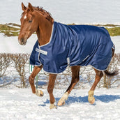 Bucas Freedom Turnout High Neck 150g Navy/Silber Bucas Freedom Turnout High Neck 150g Navy/Silber