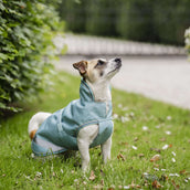 Bucas Freedom Dog Rug Turquoise Bucas Freedom Dog Rug Turquoise