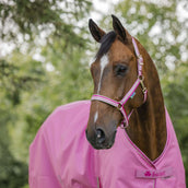 Bucas Freedom Turnout Light 0g Aurora Pink Bucas Freedom Turnout Light 0g Aurora Pink