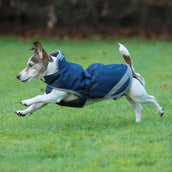 Bucas Freedom Dog Rug 300g Navy Bucas Freedom Dog Rug 300g Navy