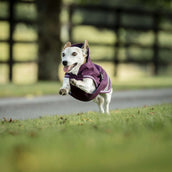 Bucas Freedom Dog Rug Blackberry Bucas Freedom Dog Rug Blackberry