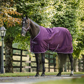 Bucas Freedom Stalldecke 300g Blackberry Bucas Freedom Stalldecke 300g Blackberry