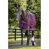 Bucas Freedom Dog Rug Blackberry Bucas Freedom Dog Rug Blackberry
