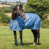 Bucas Freedom Turnout Light 0g Blueberry Bucas Freedom Turnout Light 0g Blueberry