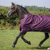 Bucas Freedom Turnout Light 0g Blackberry Bucas Freedom Turnout Light 0g Blackberry