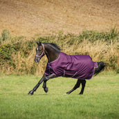 Bucas Freedom Turnout Light 0g Blackberry Bucas Freedom Turnout Light 0g Blackberry