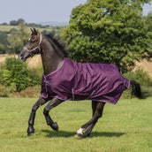 Bucas Freedom Turnout Light 0g Blackberry Bucas Freedom Turnout Light 0g Blackberry