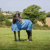 Bucas Halfter Dublin Fohlen Blueberry Bucas Halfter Dublin Fohlen Blueberry