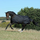 Bucas Irish Turnout Extra 300g Schwarz/Gold Bucas Irish Turnout Extra 300g Schwarz/Gold