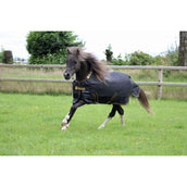 Bucas Irish Turnout 100g Schwarz/Gold Bucas Irish Turnout 100g Schwarz/Gold