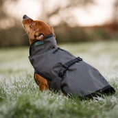 Bucas Dog Rug Reflectglow Reflectglow Bucas Dog Rug Reflectglow Reflectglow