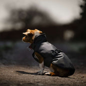 Bucas Dog Rug Reflectglow Reflectglow Bucas Dog Rug Reflectglow Reflectglow