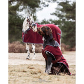 Bucas Hundedecke Show-Line Burgundy/Grau Bucas Hundedecke Show-Line Burgundy/Grau