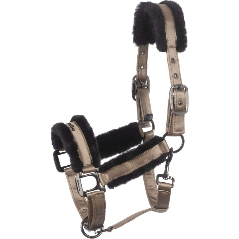 Cavallo Halfter Cavaljero Biscuit Cavallo Halfter Cavaljero Biscuit