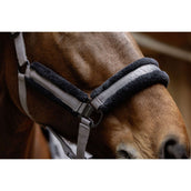 Covalliero Halfter AW25 Steel Grey Covalliero Halfter AW25 Steel Grey