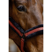 Covalliero Halfter AW25 Rostbraun Covalliero Halfter AW25 Rostbraun