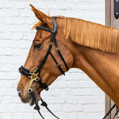 Dyon Zaum Hackamore Schwarz Dyon Zaum Hackamore Schwarz
