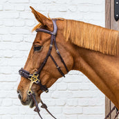 Dyon Zaum Hackamore Braun Dyon Zaum Hackamore Braun
