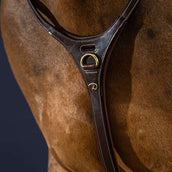 Dyon Martingal Yoke Braun Dyon Martingal Yoke Braun