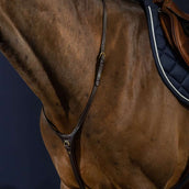 Dyon Martingal Yoke Braun Dyon Martingal Yoke Braun