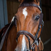 Dyon Blinkers Braun Dyon Blinkers Braun