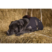 Diego & Louna Hundedecke Polar Schwarz Diego & Louna Hundedecke Polar Schwarz