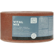 Hippotonic Leckstein Vitalmix Salt Hippotonic Leckstein Vitalmix Salt