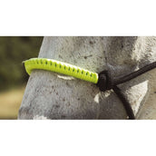 Norton Halfter + Strick Fun Colour Ethologisch Schwarz/Grün Norton Halfter + Strick Fun Colour Ethologisch Schwarz/Grün