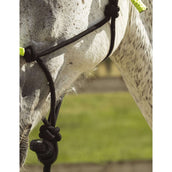 Norton Halfter + Strick Fun Colour Ethologisch Schwarz/Grün Norton Halfter + Strick Fun Colour Ethologisch Schwarz/Grün