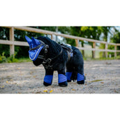EQUITHÈME Pony Academy Gamaschen Königsblau EQUITHÈME Pony Academy Gamaschen Königsblau