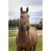 Norton Halfter mit Zügeln Braun Norton Halfter mit Zügeln Braun