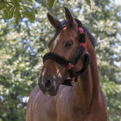 Norton Halfter Vollständig Kunstschaffell Schwarz/Rot Norton Halfter Vollständig Kunstschaffell Schwarz/Rot
