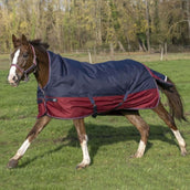 EQUITHÈME Outdoordecke Tyrex 1200D 0g mit Halbem Hals Navy/Bordeaux EQUITHÈME Outdoordecke Tyrex 1200D 0g mit Halbem Hals Navy/Bordeaux