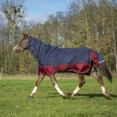 EQUITHÈME Outdoordecke Tyrex 1200D 350g mit Halsteil Navy/Bordeaux EQUITHÈME Outdoordecke Tyrex 1200D 350g mit Halsteil Navy/Bordeaux
