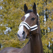 Norton Halfter Confort Schwarz Norton Halfter Confort Schwarz