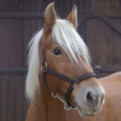 Norton Halfter Pro Braun Norton Halfter Pro Braun