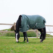 EQUITHÈME Outdoordecke Tyrex 600D 300g Recycelt Grün EQUITHÈME Outdoordecke Tyrex 600D 300g Recycelt Grün