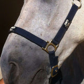 Animaderm Pflegecreme Cutene Animaderm Pflegecreme Cutene