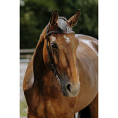 Norton Zaum Freedom Havanna Norton Zaum Freedom Havanna