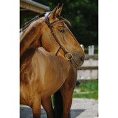 Norton Zaum Freedom Havanna Norton Zaum Freedom Havanna