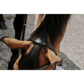 Norton Gebisslose Trense Schwarz Norton Gebisslose Trense Schwarz