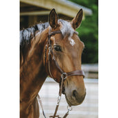 Norton Gebisslose Trense Havanna Norton Gebisslose Trense Havanna