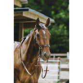 Norton Gebisslose Trense Havanna Norton Gebisslose Trense Havanna