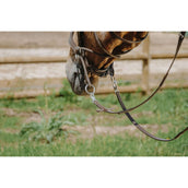 Norton Gebisslose Trense Havanna Norton Gebisslose Trense Havanna